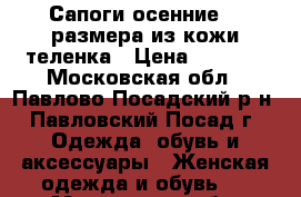 Сапоги осенние-36 размера из кожи теленка › Цена ­ 5 000 - Московская обл., Павлово-Посадский р-н, Павловский Посад г. Одежда, обувь и аксессуары » Женская одежда и обувь   . Московская обл.